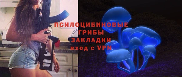 дурь Арсеньев