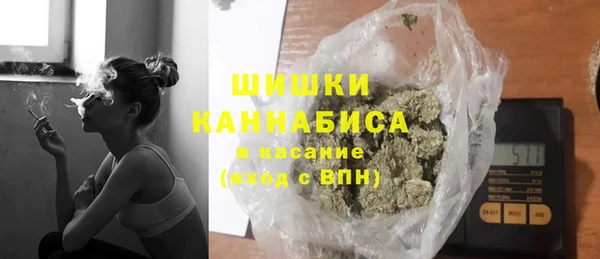 стаф Аркадак