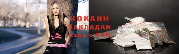 стаф Аркадак